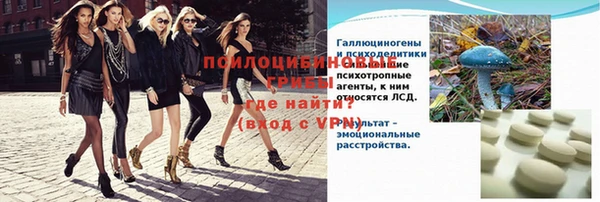 спиды Алзамай