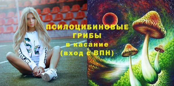 спиды Алзамай